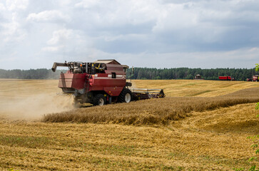 Working harvester in wheat field