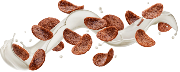 Chocolate corn flakes with milk splash isolated