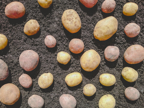 A lot of scattered earth on the ground. Unusual pattern