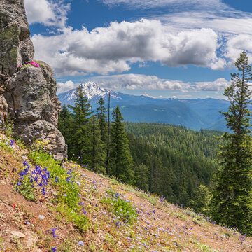 Bugaboo Ridge Trail