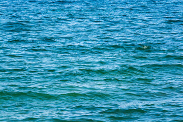 le bleu du lac Léman