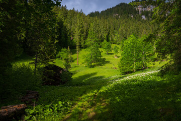 Views of the natural landscape near Simmenfälle, waterfalls and forest, Berner Oberland, Switzerland
