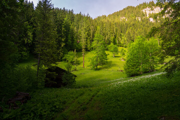 Views of the natural landscape near Simmenfälle, waterfalls and forest, Berner Oberland, Switzerland