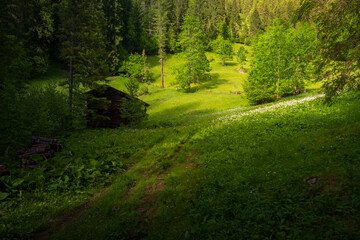 Views of the natural landscape near Simmenfälle, waterfalls and forest, Berner Oberland, Switzerland