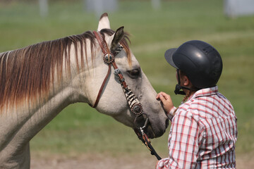 Buttermilk buckskin horse at western horse show