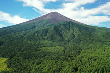 Fototapeta premium 夏の富士山