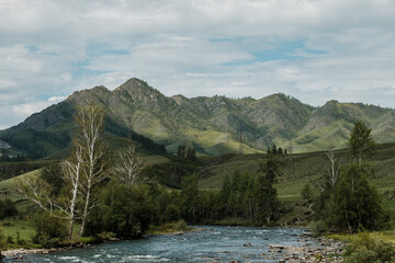 Fototapeta na wymiar A beautiful Siberian landscape with a river against a background of mountains in the Altai Republic
