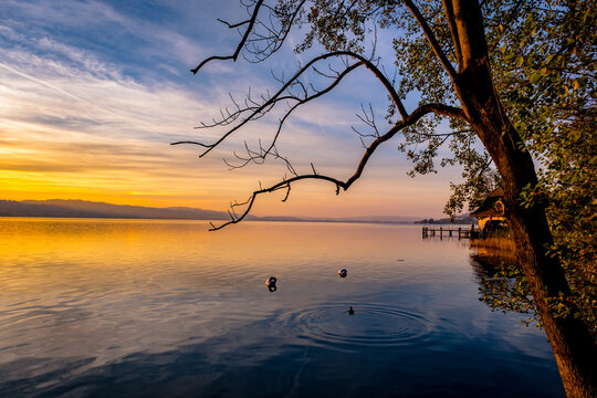 Sunset over the lake - Sempach, Switzerland
