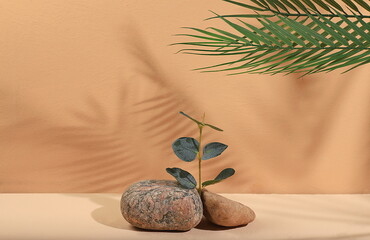 Minimal abstract background for the presentation of cosmetic products. Premium empty podium with...