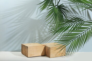 Abstract background with natural wooden podiums and long shadows on a pink wall, an empty showcase...