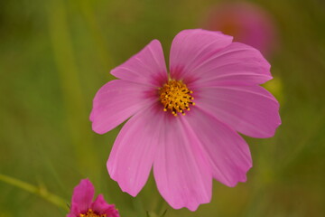 Obraz premium fall is around the corner