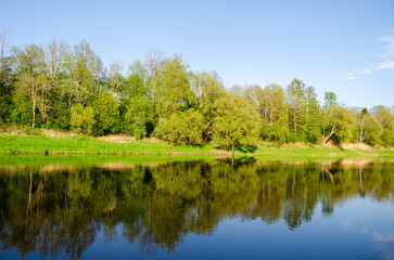 Fototapeta na wymiar trees on the lakeshore reflect in the water