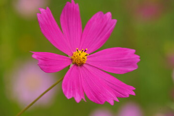 Obraz premium fall is around the corner