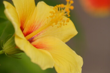 fall is around the corner