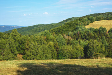 Fototapeta na wymiar Rural landscape with green fields and forests.Summer season.