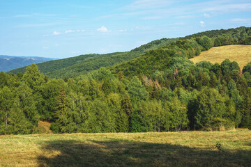 Rural landscape with green fields and forests.Summer season.