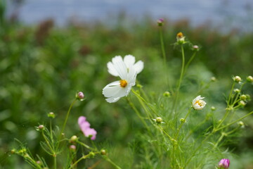 fall is around the corner