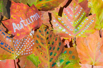 Painted fall leaves on a white background. Child creativity and zero waste concept.