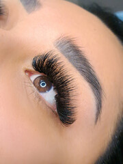 Close up of hazel eye with eyelash Extensions Russian Volume . High quality photo
