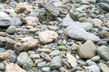 様々な形や模様の川の石