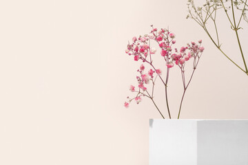White porous gypsum cube for podium cosmetic products on a beige background with gypsophila pink flowers eco. Mockup empty template horizontal - obrazy, fototapety, plakaty