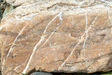 様々な形や模様の川の石