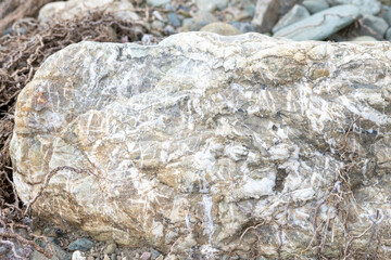 様々な形や模様の川の石