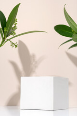 White porous gypsum cube for podium cosmetic products on a beige background with green eco leaves....