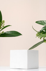 White porous gypsum cube for podium cosmetic products on a beige background with green eco leaves. Mockup empty template vertical
