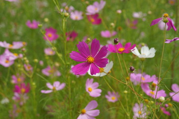 fall is around the corner