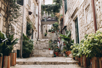Fototapeta na wymiar Dubrovnik, Croatia - September 21, 2021: Narrow dark street with greenery in old medieval town, listed UNESCO World Heritage Sites. King's Landing, capital of Seven Kingdoms in show Game of Thrones