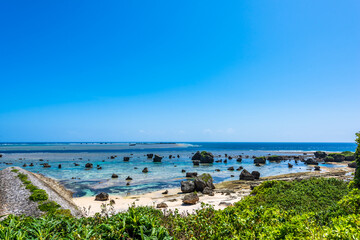大自然の宮古島