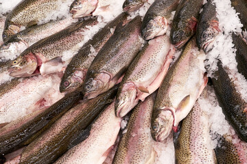Fish in ice on the counter of the store, close up. Fish market.