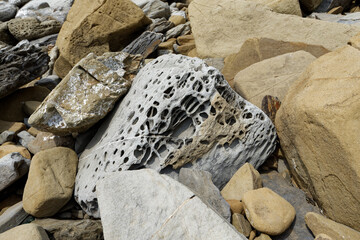 Italien - Toskana - Populonia - Bucht San Quirico