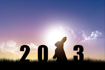 Black silhouette of number and rabbit with the sky in the evening, Numbers that symbolize the New...