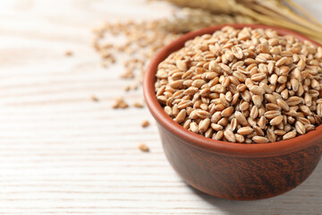 Wheat grains in bowl on white wooden table, closeup. Space for text