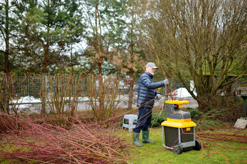 Male gardener using electric garden grinder to shred cut tree branches during spring cleaning....