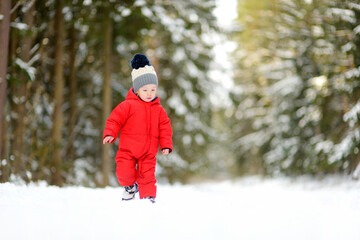 Fototapeta na wymiar Cute toddler boy having fun on a walk in snow covered pine forest on chilly winter day. Child exploring nature. Winter activities for kids.