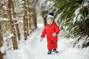 Cute toddler boy having fun on a walk in snow covered pine forest on chilly winter day. Child...