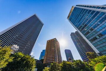 朝の光が綺麗な東京の街並み