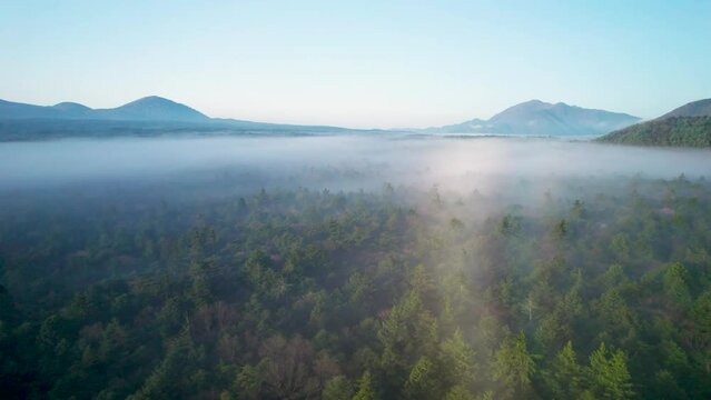 早朝の青木ヶ原樹海と富士山を空撮