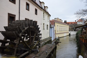 カンパ島のカッパ
