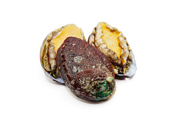 Raw fresh abalones isolated on the white background