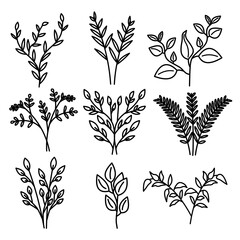 botanical icon set illustration
