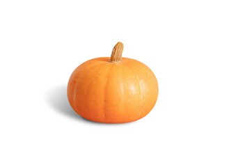 Pumpkin isolated on a white background. Halloween or Thanksgiving pumpkin.