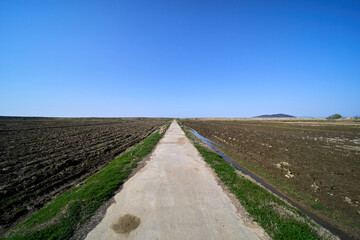 Fototapeta premium road in the countryside 