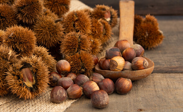 Close up bunch of chestnuts on wooden plank