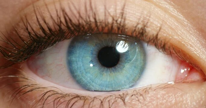 Vision, blue eye and macro of awake person looking with beautiful and natural beauty iris color. Closeup of healthy, isolated and stunning eyes of a person with moving pupil at optometry test.