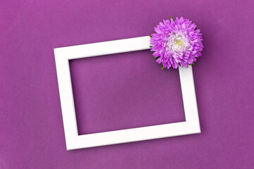 White frame decorated flower on purple background. Copy space, Mockup, Top view, Flat lay