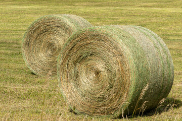 Two Round Bales of Hay in a Meadow